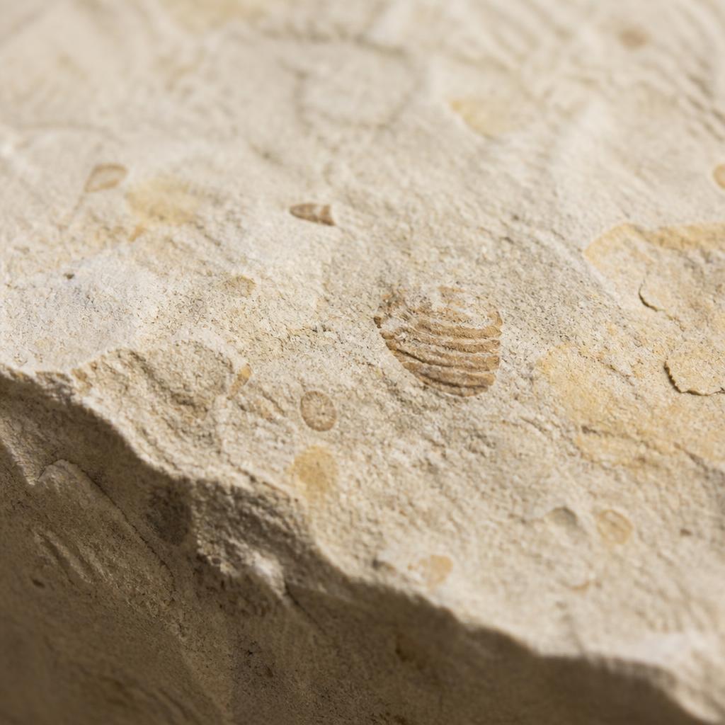 Indiana Limestone